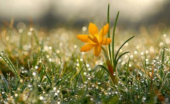 Доброго утра Хорошего дня Спокойной ночи  - image.jpg