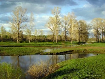 Доброго утра Хорошего дня Спокойной ночи  - image.jpg