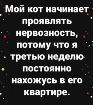 Из ВКонтактика с приветиком  - rS1g-SbZRtA.jpg