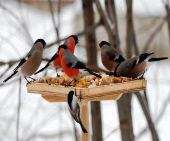 Доброго утра Хорошего дня Спокойной ночи  - image.jpg