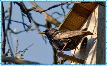 Доброго утра Хорошего дня Спокойной ночи  - image.jpg