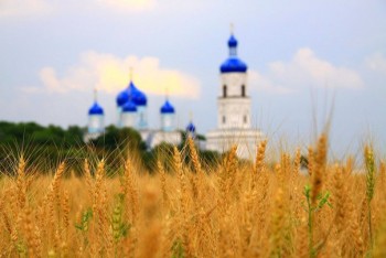 Доброго утра Хорошего дня Спокойной ночи  - _jlfCRAD6O8.jpg