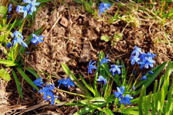 Доброго утра Хорошего дня Спокойной ночи  - image.jpg