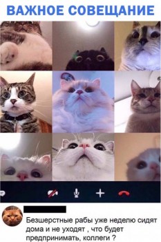 Из ВКонтактика с приветиком  - EV1005dPl8c.jpg