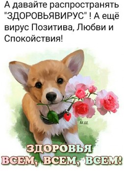 Доброго утра Хорошего дня Спокойной ночи  - image (3).jpeg