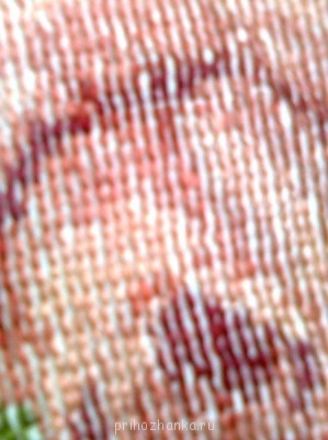 Научите меня вышивать крестиком - Фото0157.jpg