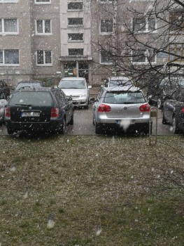 Поговорим о погоде - IMG_20200419_101251.jpg