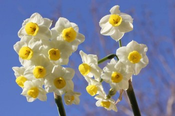 Доброго утра Хорошего дня Спокойной ночи  - image.jpg