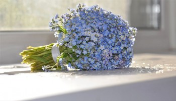 Доброго утра Хорошего дня Спокойной ночи  - YvyrsKEl5_Y.jpg