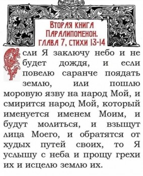 Covid-19 - IMG_20200425_160416.jpg