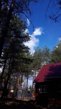 Чем сегодня занимались - 20200404_120412.jpg