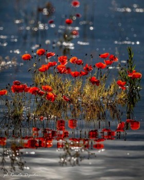 Доброго утра Хорошего дня Спокойной ночи  - Ad5tZRsrtP4.jpg