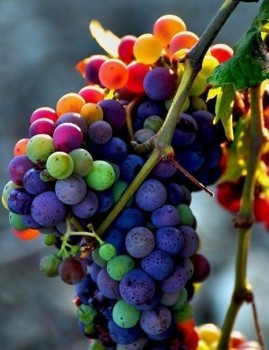 Доброго утра Хорошего дня Спокойной ночи  - 1588107808.jpg