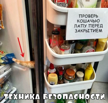 Из ВКонтактика с приветиком  - 1588228053.jpg