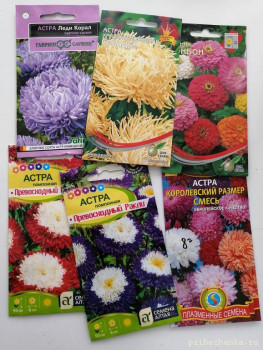 Чем сегодня занимались - 15883294495372798943003826540185.jpg