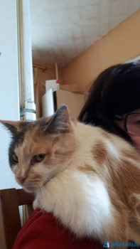 Клуб фелинологов-любителей  - 20200306_152344.jpg