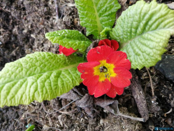 Чем сегодня занимались - IMG_20200503_174308.jpg