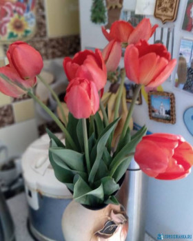 Чем сегодня занимались - 20200505_125343.jpg