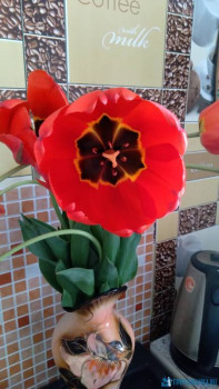 Чем сегодня занимались - 20200507_163517.jpg