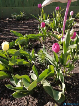 Чем сегодня занимались - IMG_20200509_160644.jpg