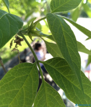 Чем сегодня занимались - 20200510_182709.jpg