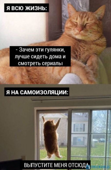 Из ВКонтактика с приветиком  - DLhNG65AjlU.jpg