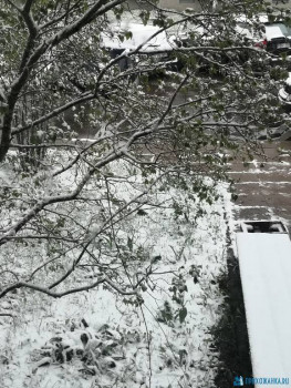 Поговорим о погоде - IMG_20200512_093959.jpg