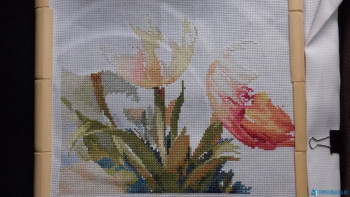 Что хотим, планируем или мечтаем вышить:  - 20200512_114216[1].jpg