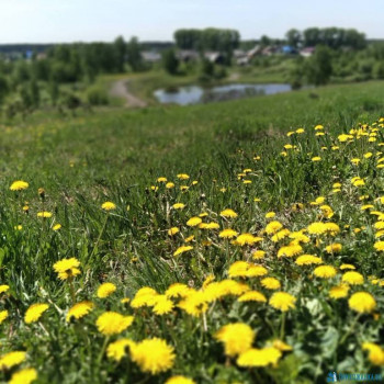 Чем сегодня занимались - IMG_20200515_205407_896.jpg