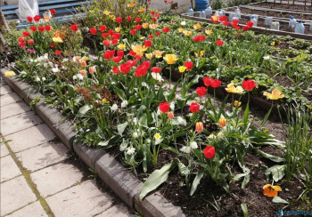 Чем сегодня занимались - IMG_20200516_134616.jpg