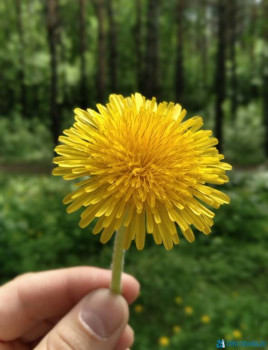 Чем сегодня занимались - 20200519_141059.jpg