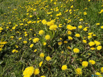 Чем сегодня занимались - IMG_20200521_121317.jpg