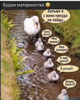 Из ВКонтактика с приветиком  - image (2).jpeg