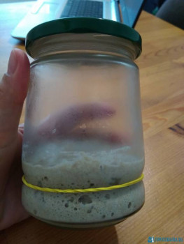 Как печь хлеб в духовке? - IMG_20200525_135531.jpg