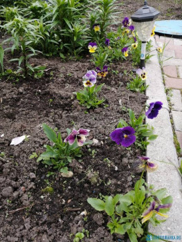 Чем сегодня занимались - IMG_20200602_182117.jpg