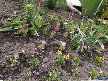 Чем сегодня занимались - IMG_20200602_182102.jpg