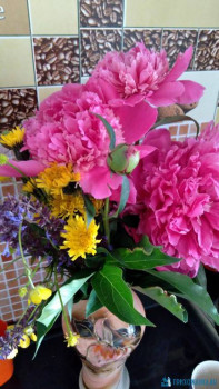 Чем сегодня занимались - 20200607_165634.jpg