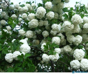 Чем сегодня занимались - IMG_20200607_152659.jpg