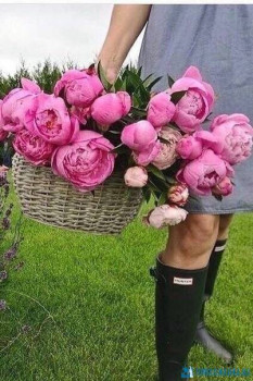 Аватарки. Наши интернет-лица-2 - 1591734479.jpg