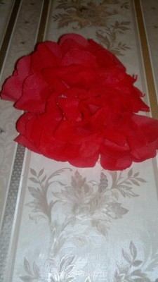 целиком салфетка