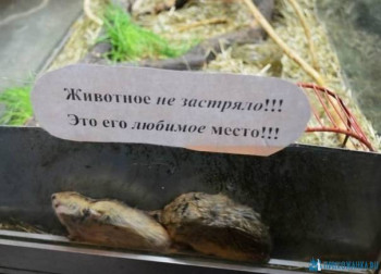 Из ВКонтактика с приветиком  - 1591876288.jpg