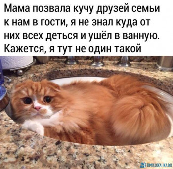 Из ВКонтактика с приветиком  - 1591870427.jpg