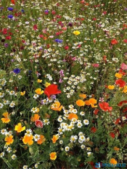 Чем сегодня занимались - 1591621027.jpg