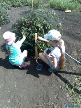 Чем сегодня занимались ваши дети? - IMG_20200612_144128.jpg