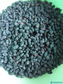 Чем сегодня занимались ваши дети? - IMG_20200612_161456.jpg