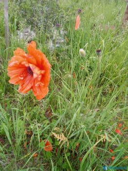 Чем сегодня занимались - IMG_20200612_163344.jpg