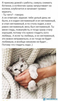 Доброго утра Хорошего дня Спокойной ночи  - IMG_20200616_004144.jpg