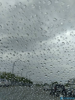 Поговорим о погоде - 20200619_102919.jpg