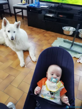 Чем сегодня занимались - IMG_20200620_085818.jpg