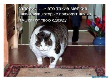 Из ВКонтактика с приветиком  - IMG_20200621_143251.jpg